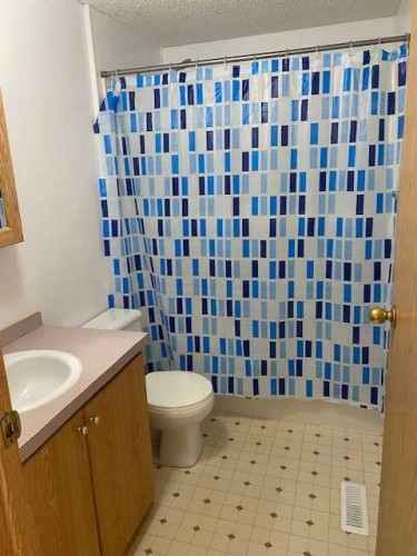 325 1 Street, Irricana, AB - Indoor Photo Showing Bathroom