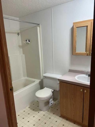325 1 Street, Irricana, AB - Indoor Photo Showing Bathroom