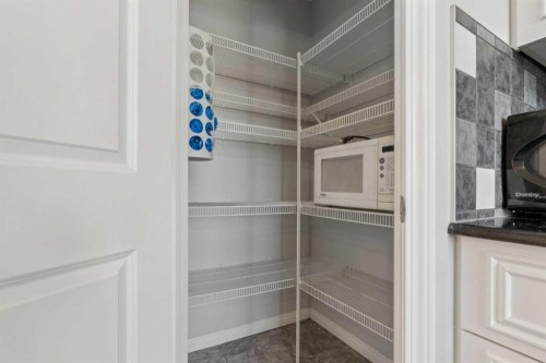 22 Silverado Plains Circle Sw, Calgary, AB - Indoor With Storage