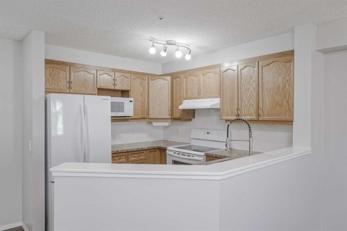 2205-5200 44 Avenue Ne, Calgary, AB - Indoor Photo Showing Kitchen