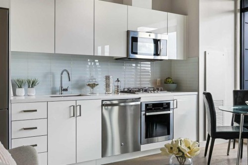 507-1010 6 Street Sw, Calgary, AB - Indoor Photo Showing Kitchen With Upgraded Kitchen