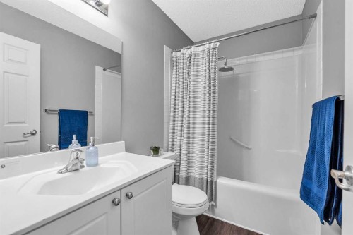 210 Evansmeade Point Nw, Calgary, AB - Indoor Photo Showing Bathroom