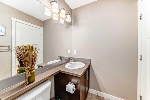 824 Skyview Ranch Grove Ne, Calgary, AB - Indoor Photo Showing Bathroom