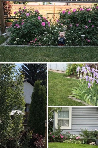 220 Whitewood Place Ne, Calgary, AB - Outdoor