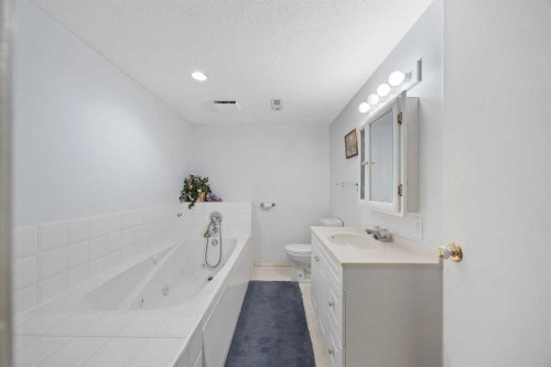 220 Sunset Place, Okotoks, AB - Indoor Photo Showing Bathroom