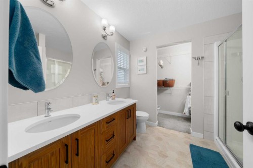 113 Amery Crescent, Crossfield, AB - Indoor Photo Showing Bathroom