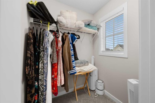113 Amery Crescent, Crossfield, AB - Indoor With Storage