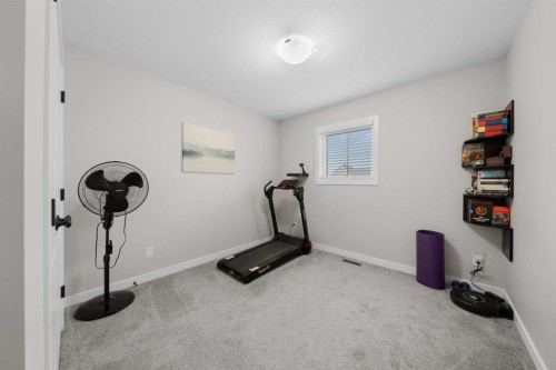 113 Amery Crescent, Crossfield, AB - Indoor Photo Showing Gym Room