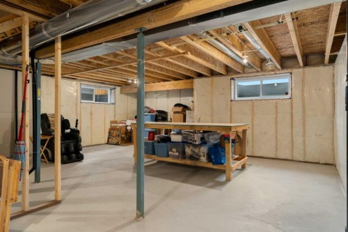 113 Amery Crescent, Crossfield, AB - Indoor Photo Showing Basement