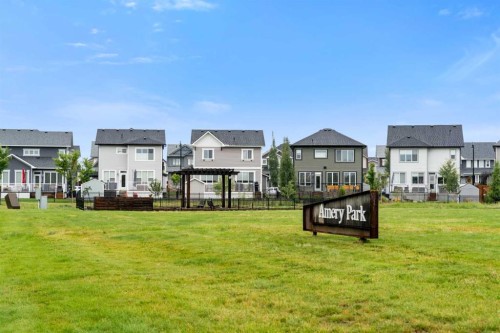 113 Amery Crescent, Crossfield, AB - Outdoor