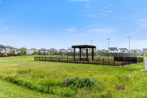 113 Amery Crescent, Crossfield, AB - Outdoor
