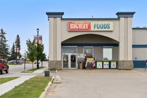 113 Amery Crescent, Crossfield, AB - Outdoor