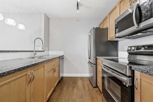 311-2440 34 Avenue Sw, Calgary, AB - Indoor Photo Showing Kitchen With Double Sink