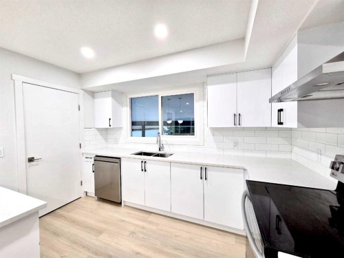 131 Whiteview Close Ne, Calgary, AB - Indoor Photo Showing Kitchen With Double Sink