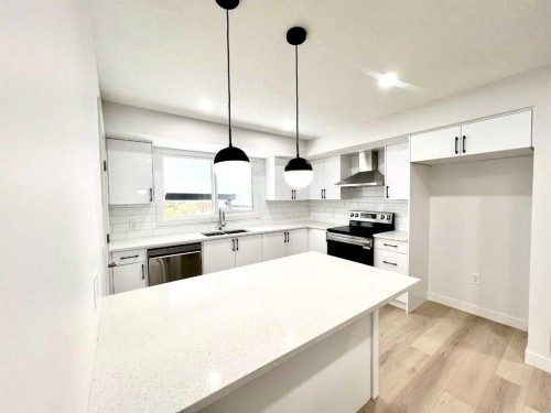 131 Whiteview Close Ne, Calgary, AB - Indoor Photo Showing Kitchen With Upgraded Kitchen
