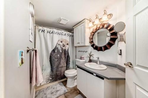 314-20 Dover Point Se, Calgary, AB - Indoor Photo Showing Bathroom