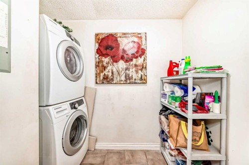 314-20 Dover Point Se, Calgary, AB - Indoor Photo Showing Laundry Room
