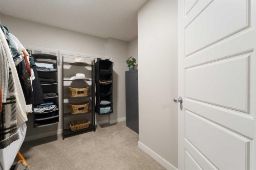 701-250 Fireside View, Cochrane, AB - Indoor With Storage
