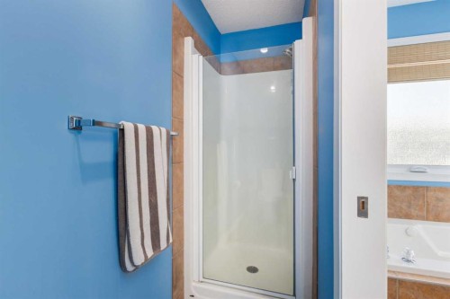 138 West Creek Springs, Chestermere, AB - Indoor Photo Showing Bathroom