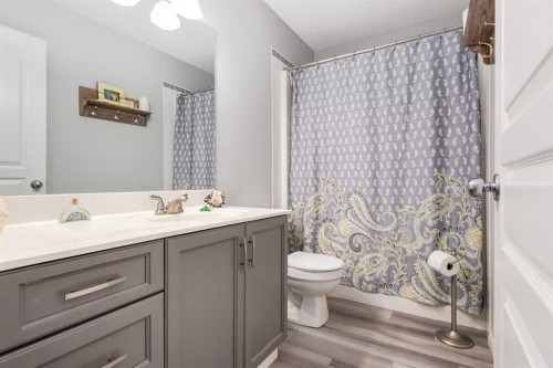 138 West Creek Springs, Chestermere, AB - Indoor Photo Showing Bathroom