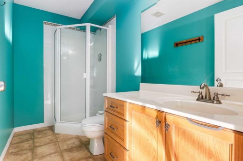 138 West Creek Springs, Chestermere, AB - Indoor Photo Showing Bathroom