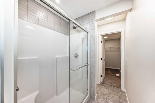 111 Mercado Crescent Se, Calgary, AB - Indoor Photo Showing Bathroom