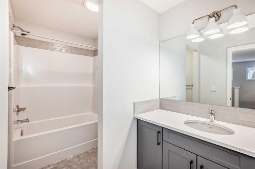 111 Mercado Crescent Se, Calgary, AB - Indoor Photo Showing Bathroom