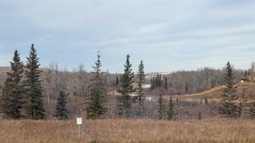 130 Riverwood Crescent Sw, Diamond Valley, AB - Outdoor With View