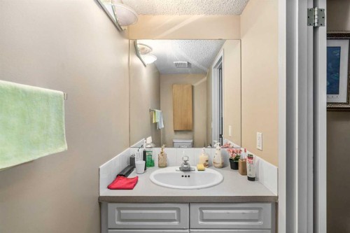 3-643 4 Avenue Ne, Calgary, AB - Indoor Photo Showing Bathroom