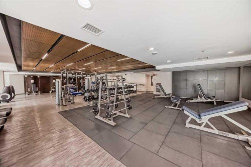 3201-1122 3 Street Se, Calgary, AB - Indoor Photo Showing Gym Room