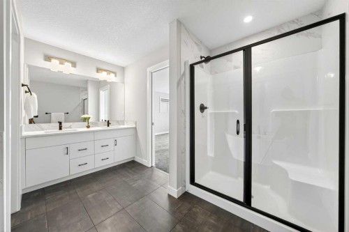 61 Calhoun Crescent Ne, Calgary, AB - Indoor Photo Showing Bathroom