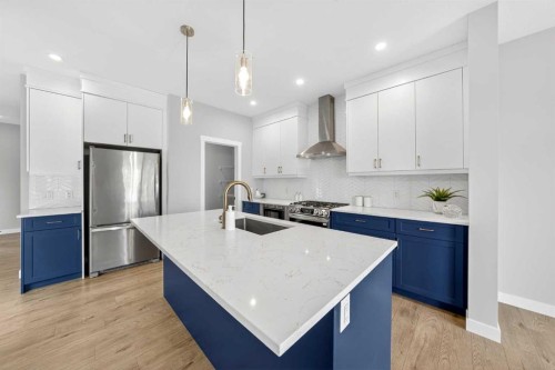 61 Calhoun Crescent Ne, Calgary, AB - Indoor Photo Showing Kitchen With Upgraded Kitchen