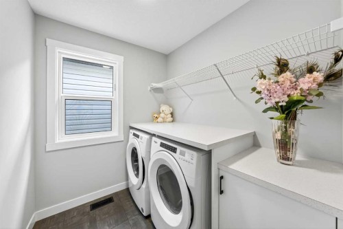 61 Calhoun Crescent Ne, Calgary, AB - Indoor Photo Showing Laundry Room