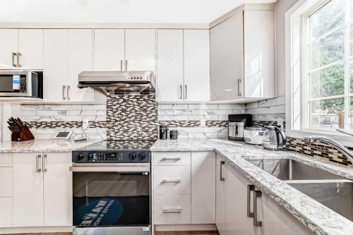 120 Pineset Place Ne, Calgary, AB - Indoor Photo Showing Kitchen With Double Sink With Upgraded Kitchen