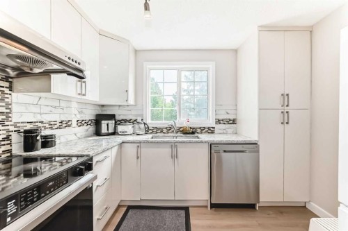 120 Pineset Place Ne, Calgary, AB - Indoor Photo Showing Kitchen With Upgraded Kitchen