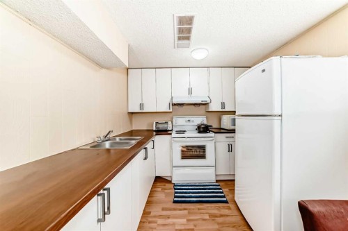 120 Pineset Place Ne, Calgary, AB - Indoor Photo Showing Kitchen With Double Sink