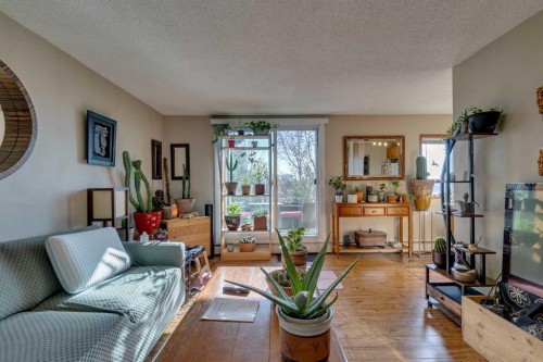 810 Drury Avenue Ne, Calgary, AB - Indoor Photo Showing Living Room