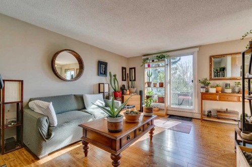 810 Drury Avenue Ne, Calgary, AB - Indoor Photo Showing Living Room