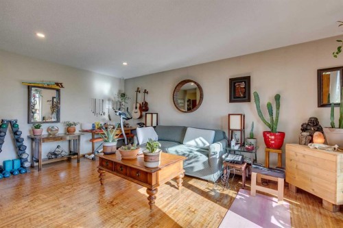 810 Drury Avenue Ne, Calgary, AB - Indoor Photo Showing Living Room