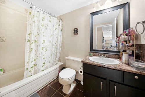 206-630 57 Avenue Sw, Calgary, AB - Indoor Photo Showing Bathroom