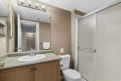 2113-2113 Tuscarora Manor Nw, Calgary, AB - Indoor Photo Showing Bathroom