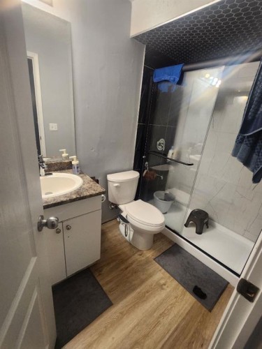 1028 Taradale Drive Ne, Calgary, AB - Indoor Photo Showing Bathroom