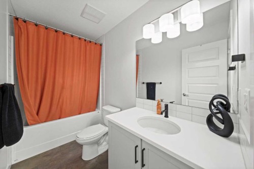 50 Bayview Circle Sw, Airdrie, AB - Indoor Photo Showing Bathroom