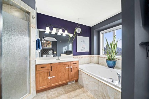 296 Lakeside Greens Crescent, Chestermere, AB - Indoor Photo Showing Bathroom