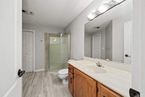 296 Lakeside Greens Crescent, Chestermere, AB - Indoor Photo Showing Bathroom