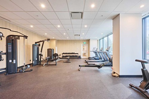 1012-730 2 Avenue Sw, Calgary, AB - Indoor Photo Showing Gym Room