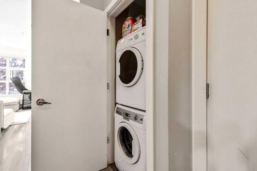 116-515 4 Avenue Ne, Calgary, AB - Indoor Photo Showing Laundry Room