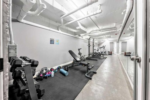 116-515 4 Avenue Ne, Calgary, AB - Indoor Photo Showing Gym Room