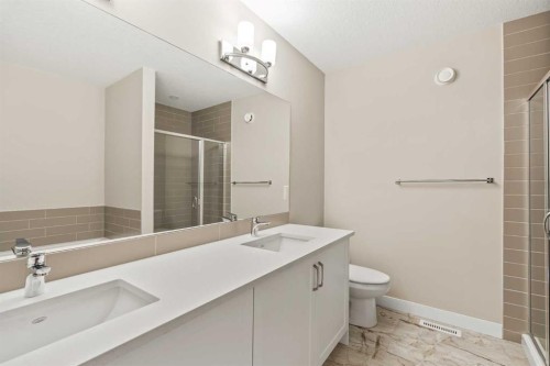 163 Belvedere Crescent, Calgary, AB - Indoor Photo Showing Bathroom