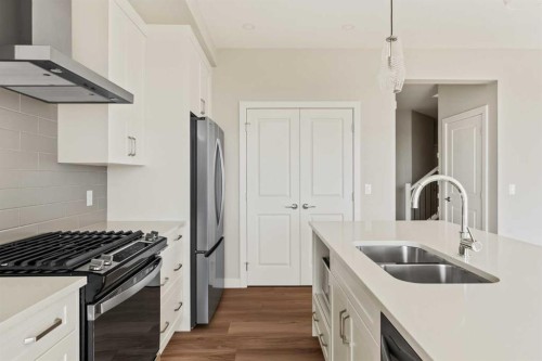 163 Belvedere Crescent, Calgary, AB - Indoor Photo Showing Kitchen With Stainless Steel Kitchen With Double Sink With Upgraded Kitchen